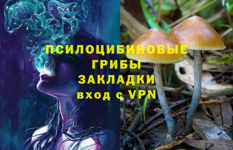 Галлюциногенные грибы Psilocybine cubensis  Новоаннинский 